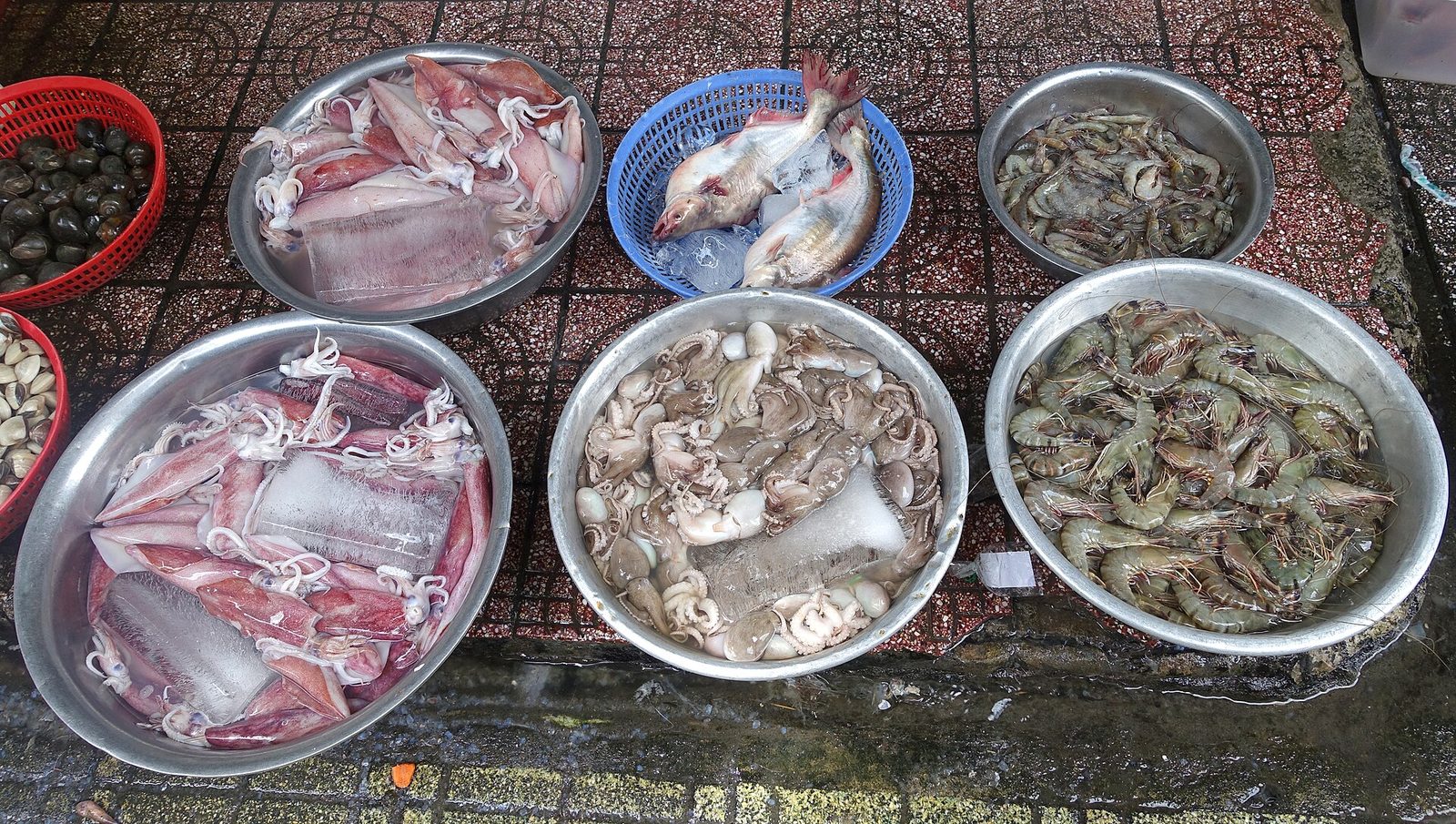 호치민 해산물 식당에서 쓰는 새우와 조개, 오징어 등 해산물